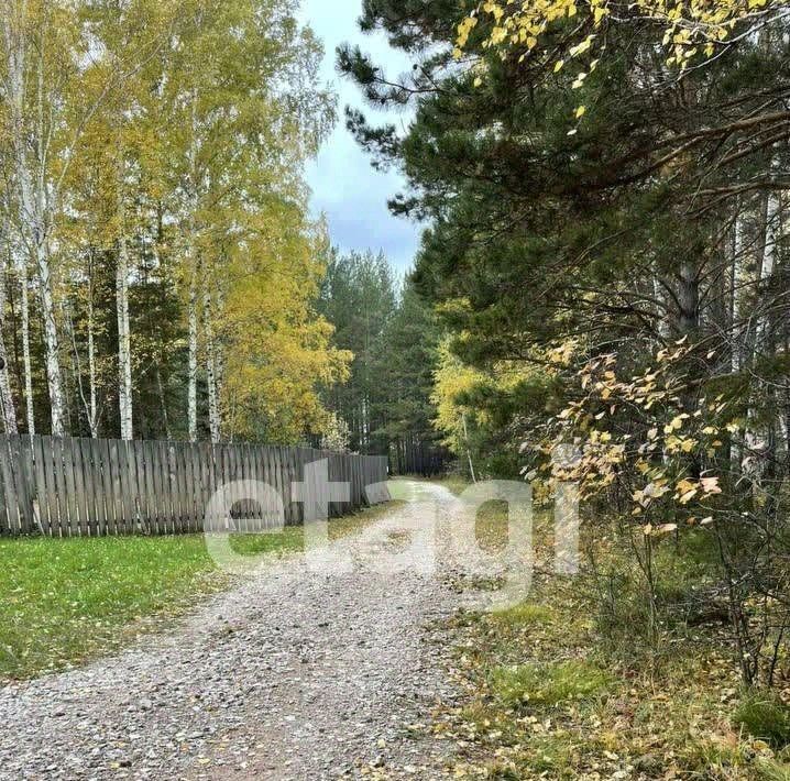 земля р-н Емельяновский Шуваевский сельсовет, Надежда Таскино СНТ фото 1