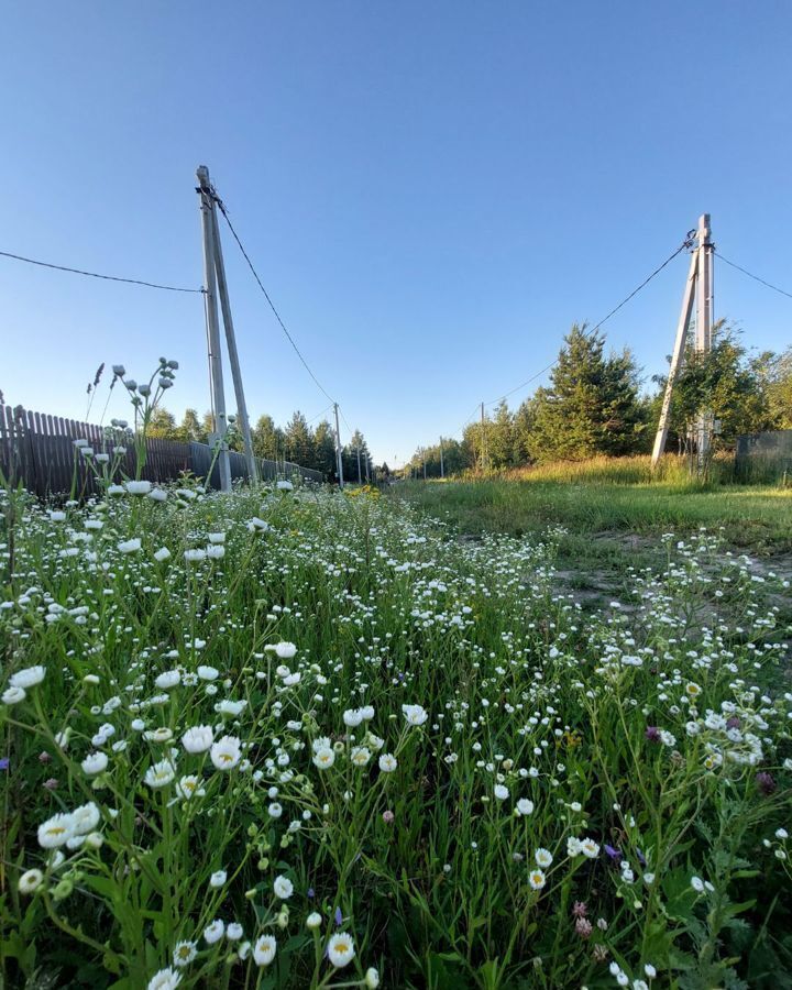 земля городской округ Павловский Посад д Криулино ул Плодовая Электросталь фото 1