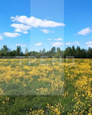 земля ул Лейтенанта Румянцева Советское городское поселение, Каменка фото