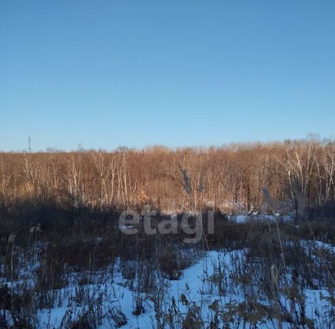 земля г Арсеньев ул Садовая фото