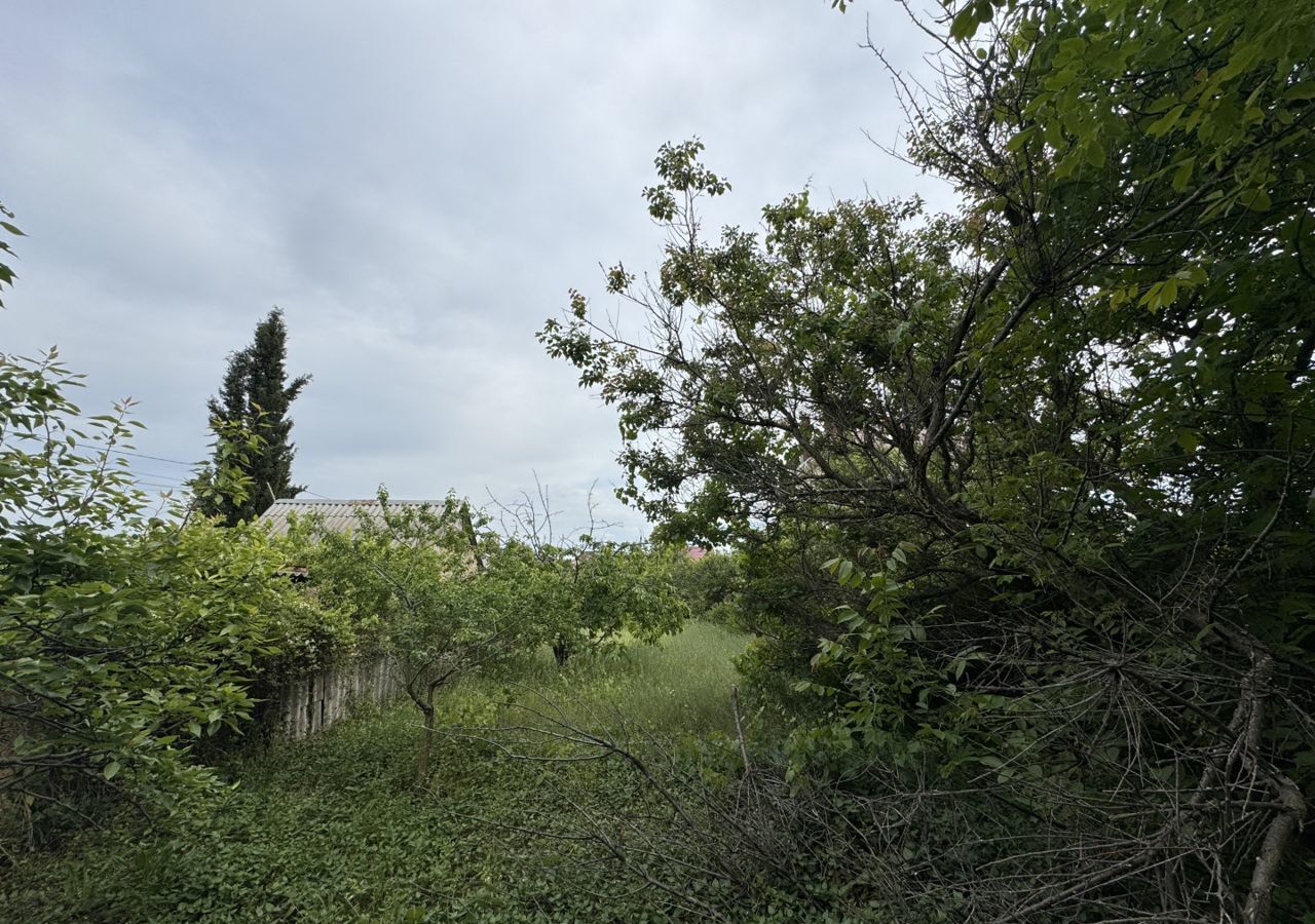 земля г Севастополь садоводческое товарищество Нахимовец, Крым фото 6