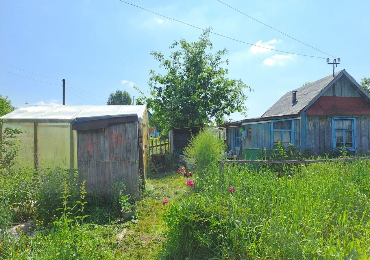 земля р-н Томский садовое товарищество Сибирский Сад, Светлый фото 3