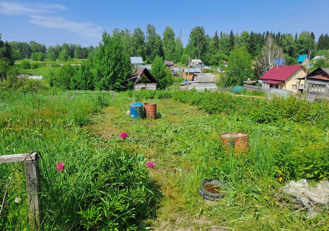 земля р-н Томский садовое товарищество Сибирский Сад, Светлый фото 4