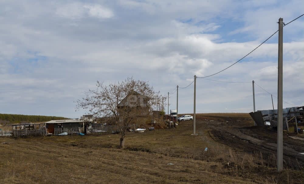 земля р-н Новокузнецкий с Сосновка Новокузнецк фото 2