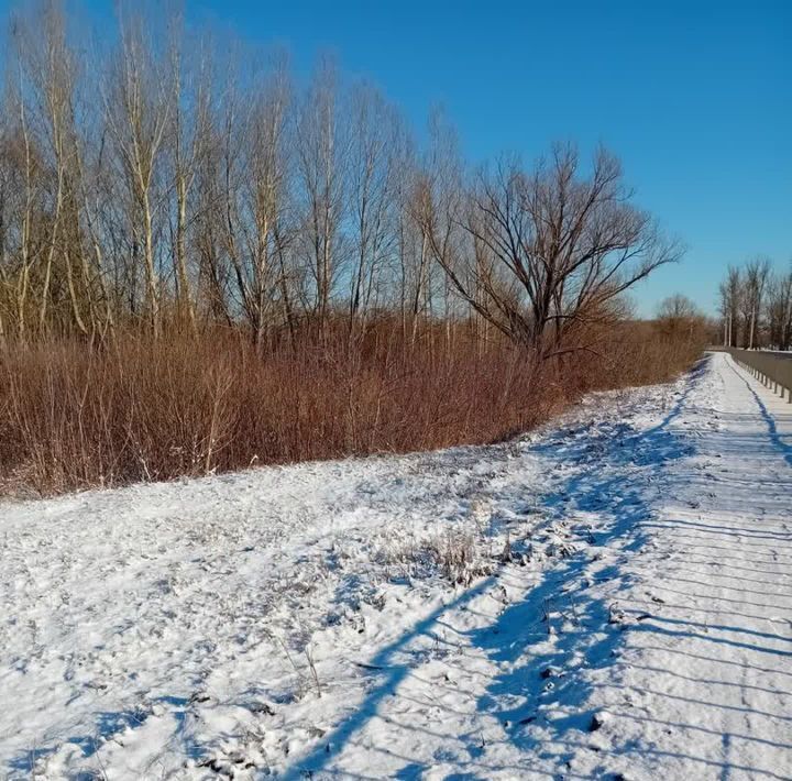 земля р-н Красногвардейский с Засосна ул Ленина Засосенское с/пос фото 6