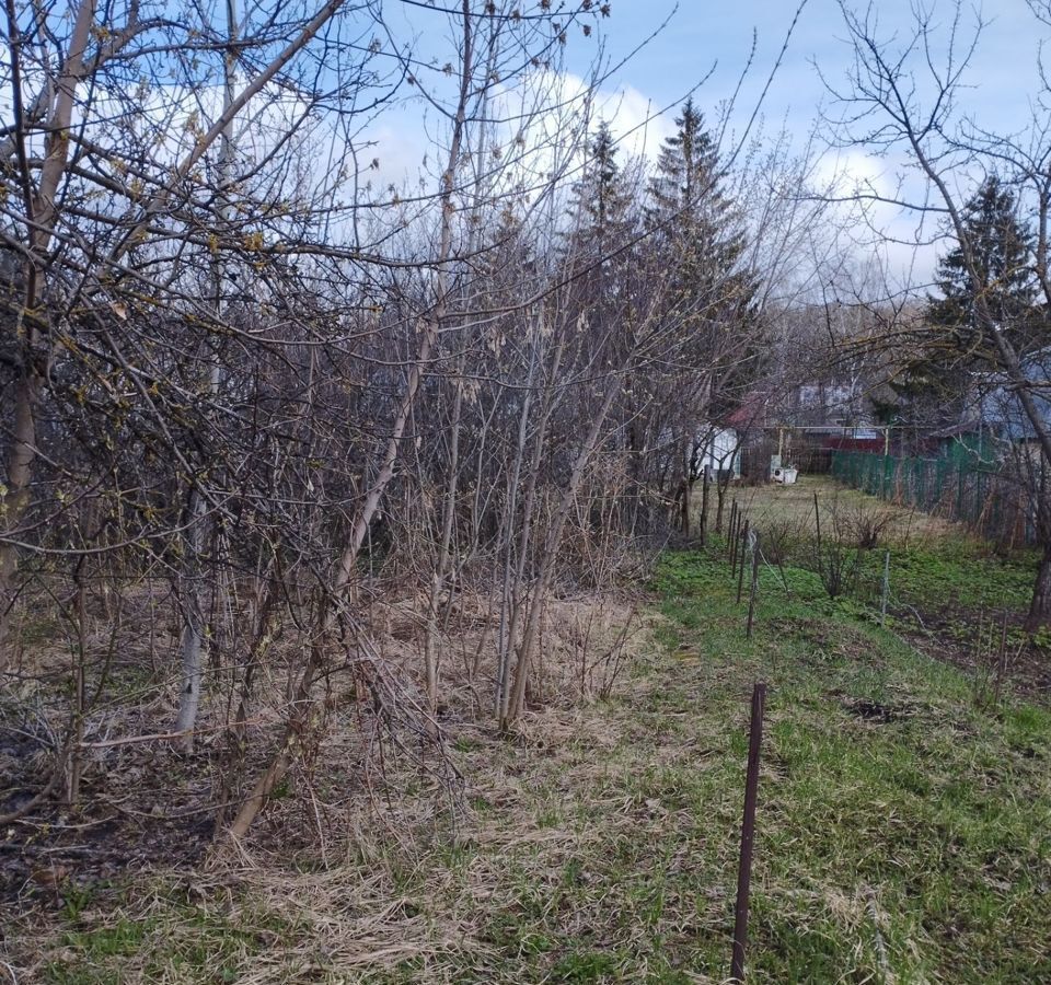 квартира г Нижний Новгород ул Строительная 4 сельский пос. Окский, Богородский муниципальный округ фото 8