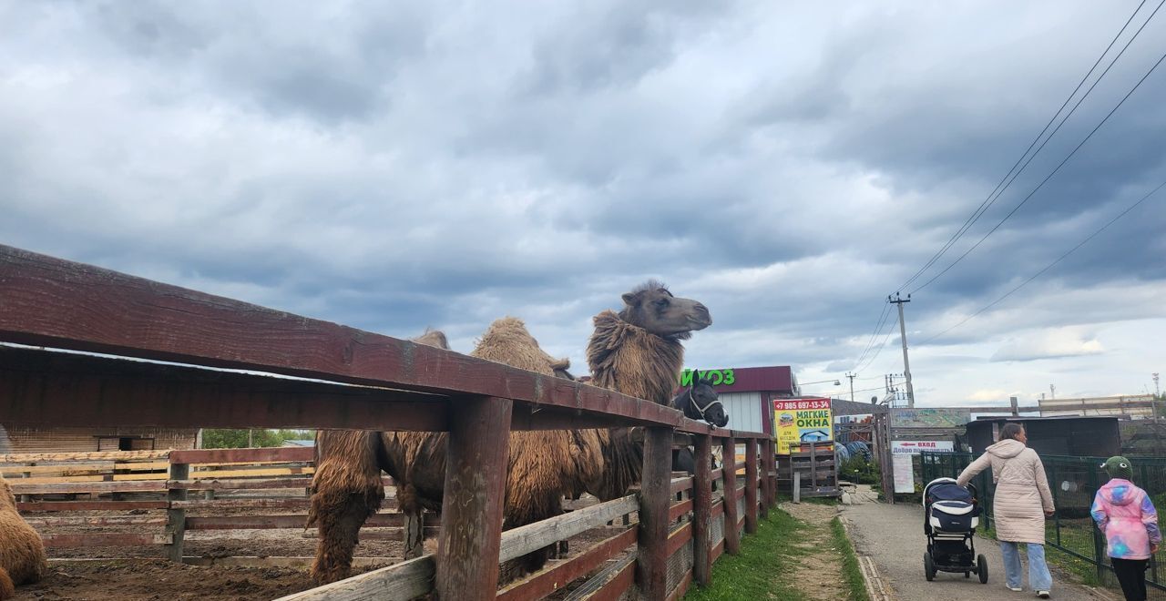 земля городской округ Чехов 54 км, коттеджный пос. Жальское ИЖС, Симферопольское шоссе фото 6