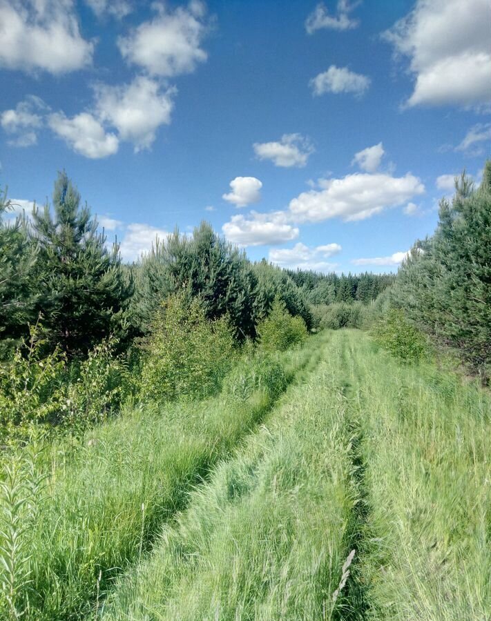 земля р-н Слободской с Никульчино коттеджный пос. Купол, Кирово-Чепецк фото 6