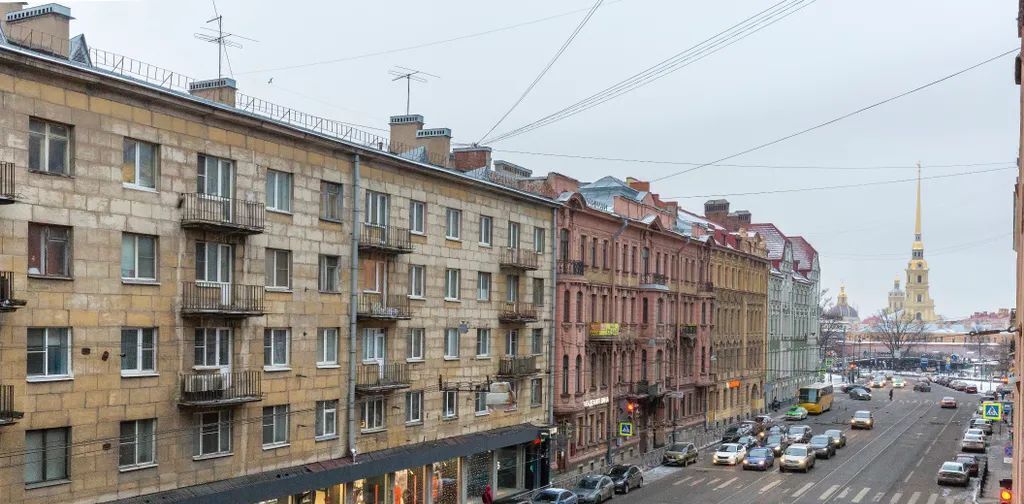 квартира г Санкт-Петербург метро Горьковская пер Зоологический 1/3 Петроградка фото 10