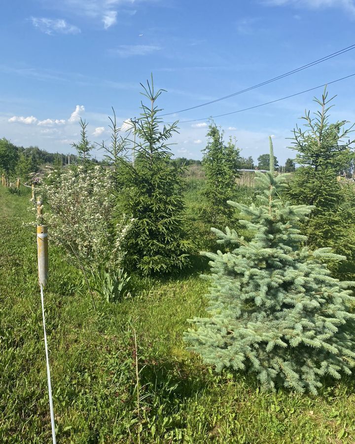 земля городской округ Ленинский д Мисайлово Видное фото 1