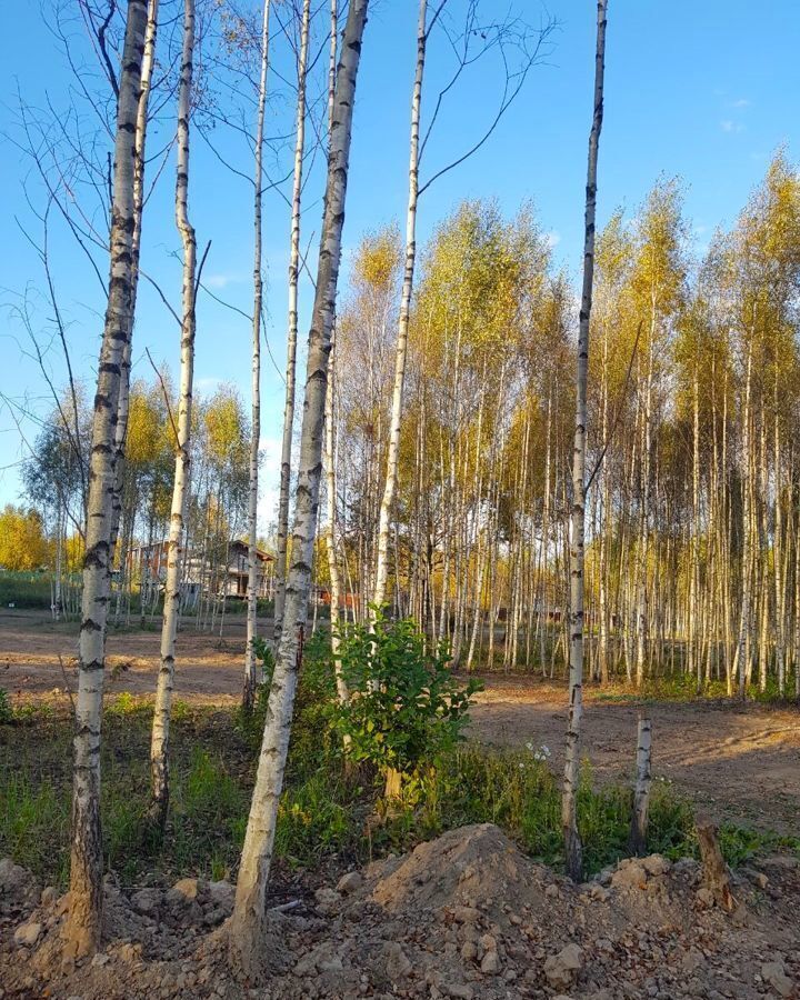 земля городской округ Дмитровский д Иванцево Яхрома фото 39