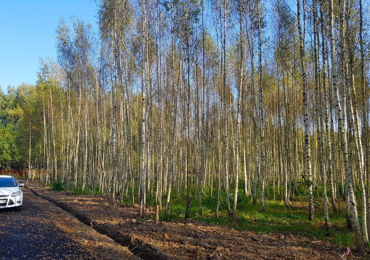 земля городской округ Дмитровский д Иванцево Яхрома фото 34