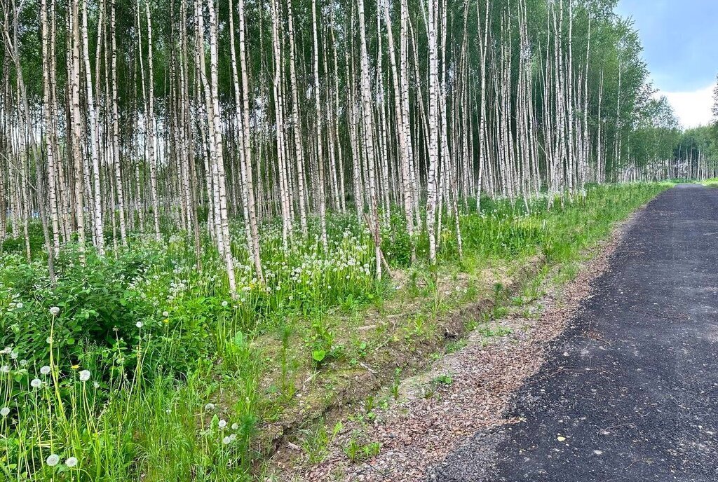 земля городской округ Дмитровский д Афанасово фото 2