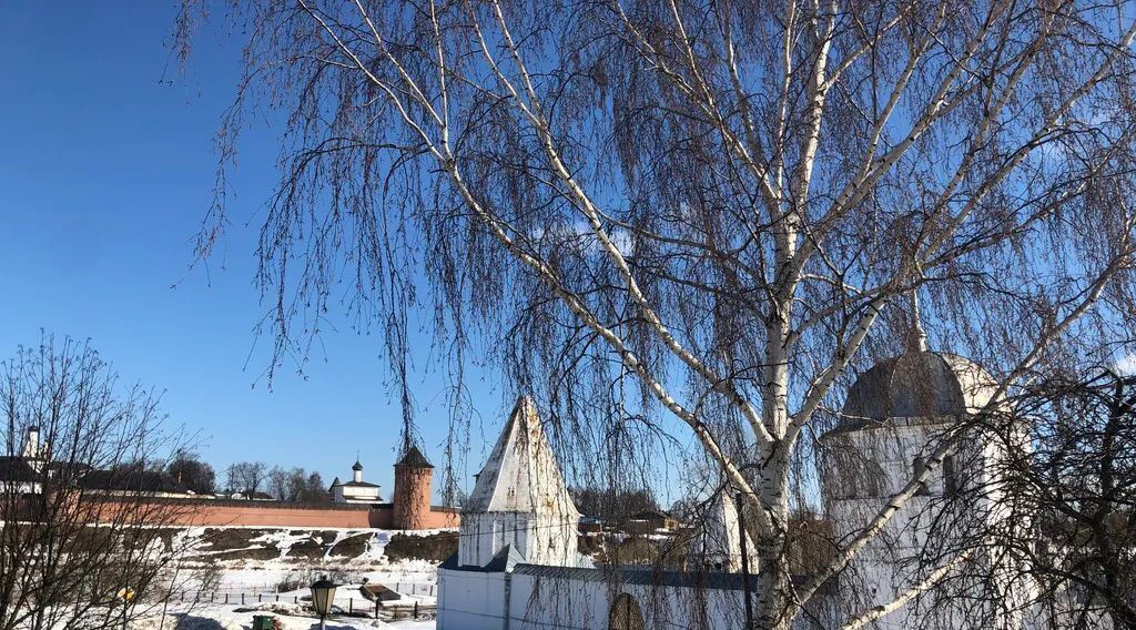 комната р-н Суздальский г Суздаль ул Покровская 47 фото 24