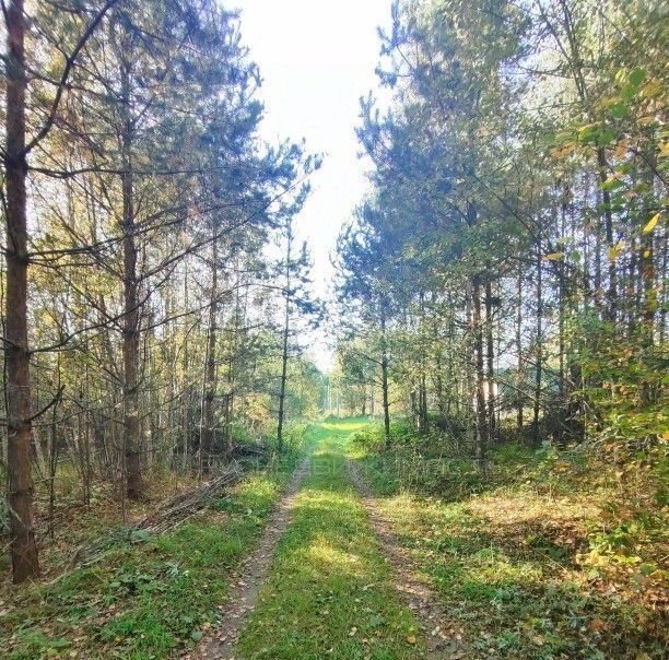 земля р-н Юрьянский пгт Мурыгино Мурыгинское городское поселение фото 13