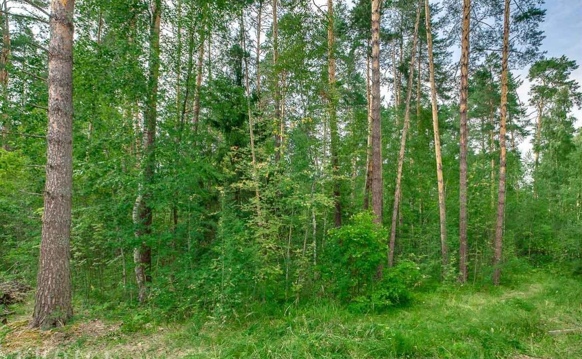 земля городской округ Одинцовский п Николина Гора коттеджный посёлок Никологорское, ул. Лесное Кольцо, 3, Красногорск фото 2