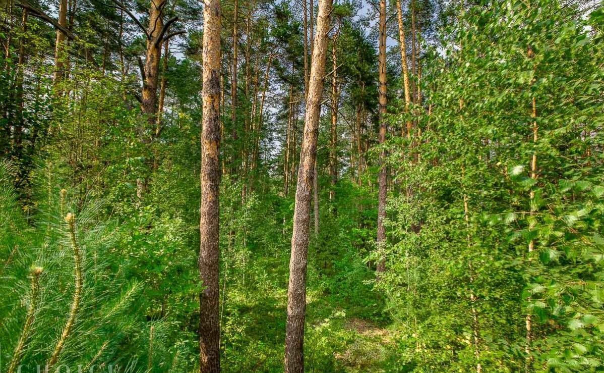 земля городской округ Одинцовский п Николина Гора коттеджный посёлок Никологорское, ул. Лесное Кольцо, 3, Красногорск фото 3