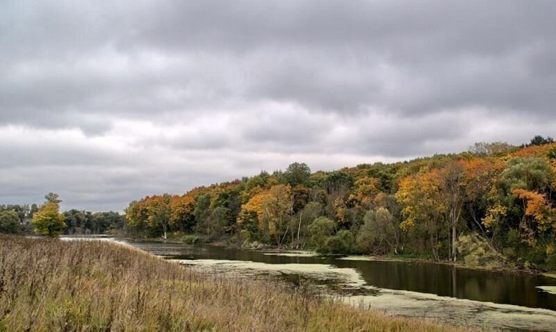 земля городской округ Кашира д. Якимовское, Луговая ул фото 4