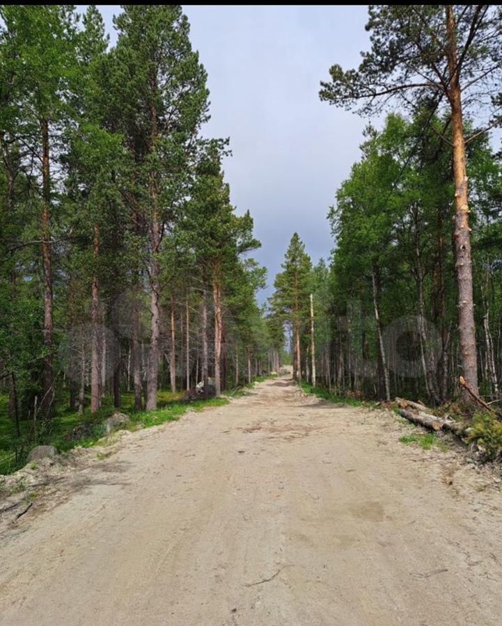 земля р-н Кольский г Кола городское поселение город Кола, 47К-050 Серебрянка, 7-й километр фото 6