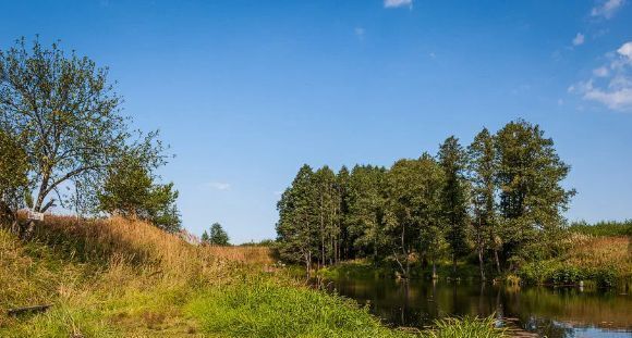 земля р-н Камешковский д Мокеево Второвское муниципальное образование фото 1