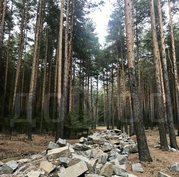 земля р-н Невьянский п Таватуй ул Сосновая 1 Невьянский городской округ фото 3