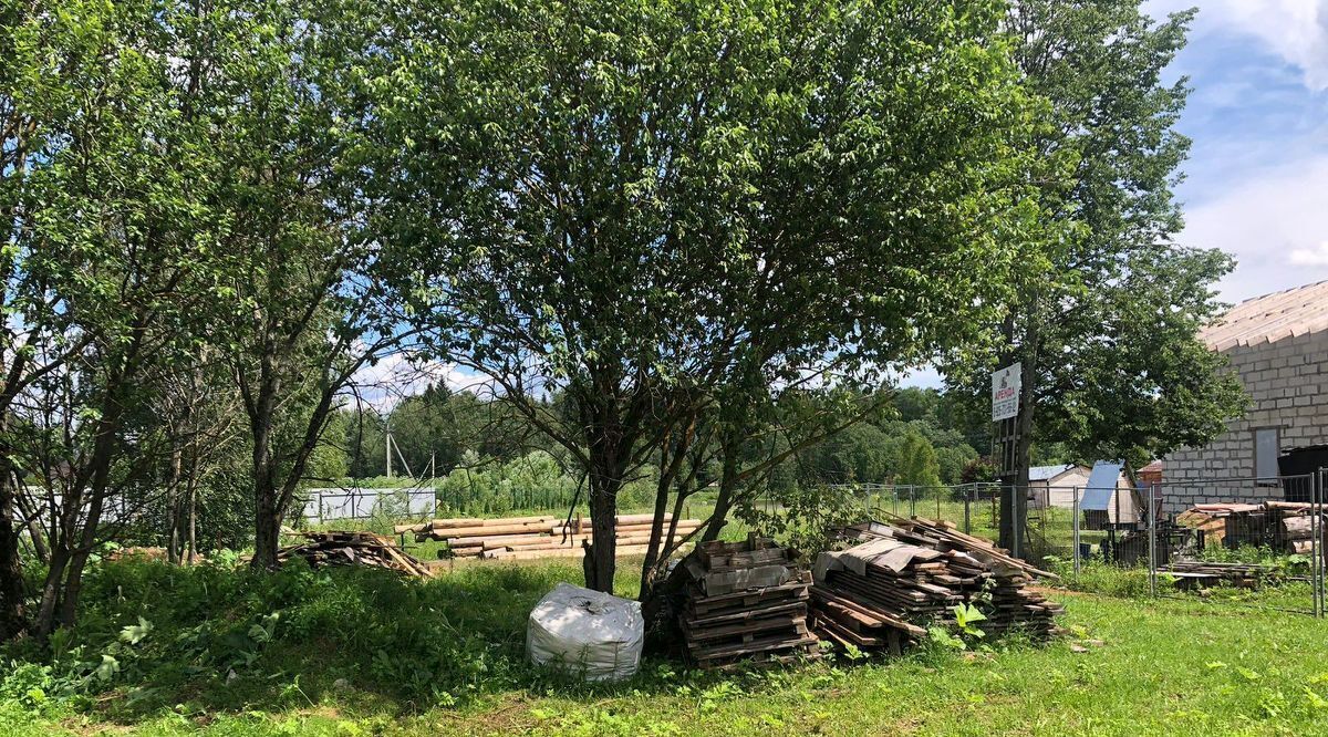 земля городской округ Солнечногорск д Белавино Зеленоград — Крюково фото 6