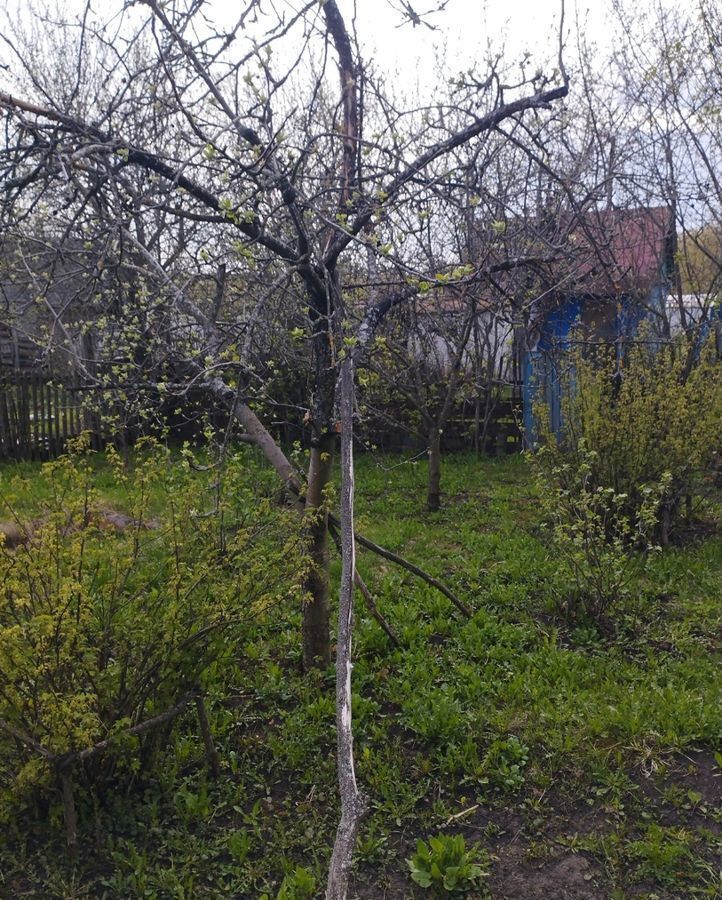 квартира р-н Поныровский с Верхнесмородино Верхне-Смородинский сельсовет, Поныри фото 15