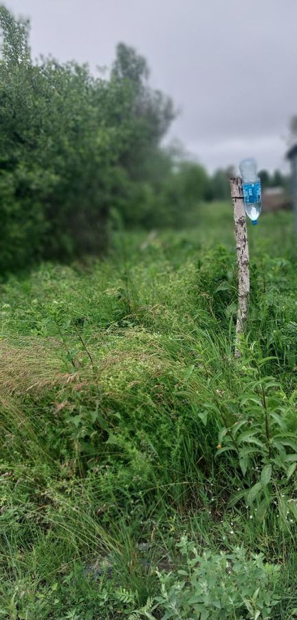 земля г Тобольск садоводческое товарищество Возрождение, Солнечная ул фото 7