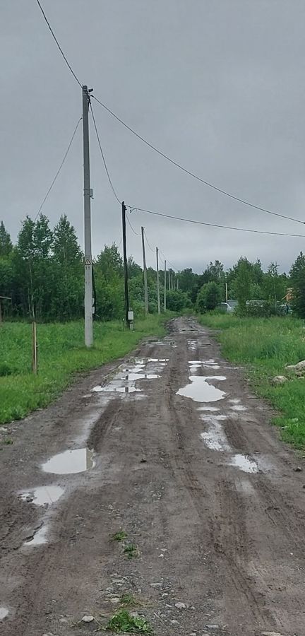 земля г Тобольск садоводческое товарищество Возрождение, Солнечная ул фото 9