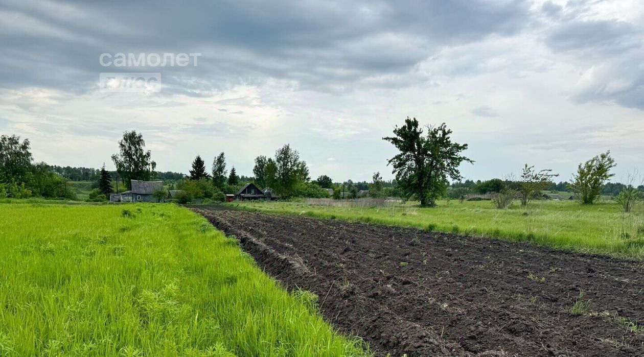 земля р-н Выгоничский д Бурачовка Выгоничское городское поселение фото 4