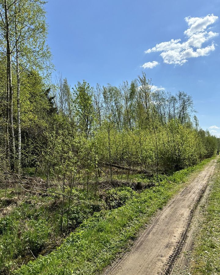 земля городской округ Волоколамский СНТ Пульсар, Шаховская фото 16