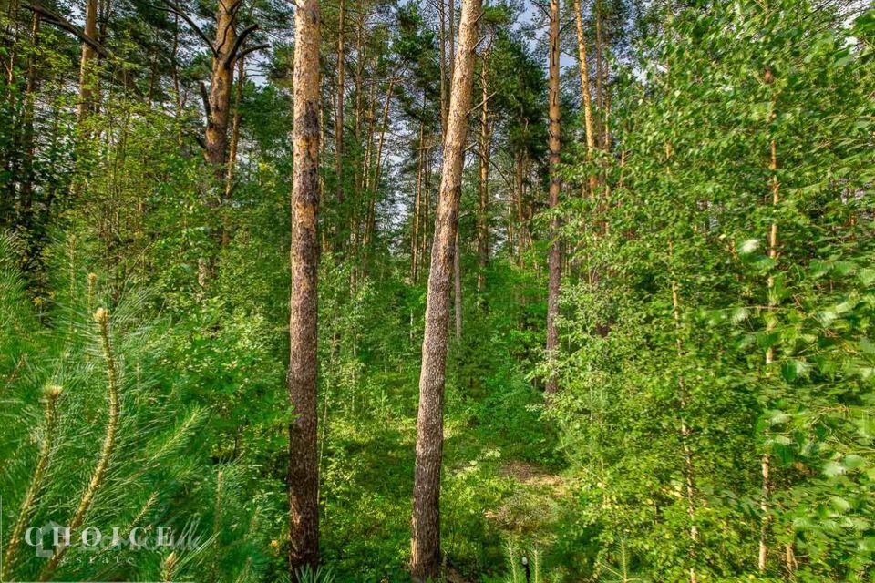 земля городской округ Красногорск коттеджный посёлок Горки-6 фото 1