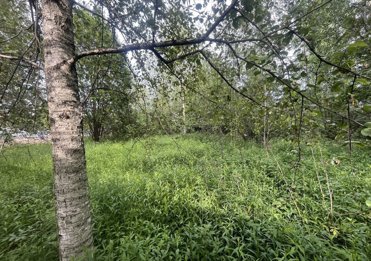 земля городской округ Чехов д Чепелёво Чехов фото 7