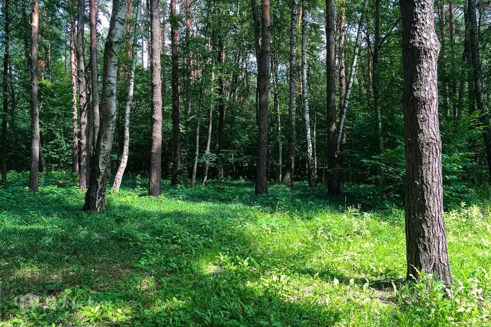 земля городской округ Одинцовский п дачного хозяйства "Жуковка" коттеджный посёлок Жуковка-2 фото 2