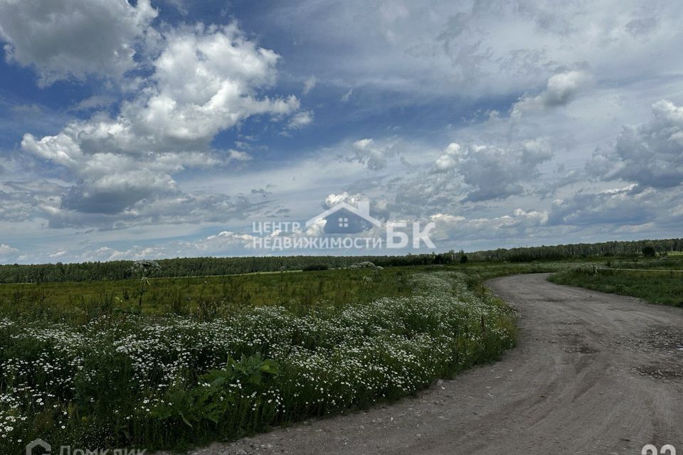 земля городской округ Домодедово коттеджный посёлок Репино, 182 фото 2