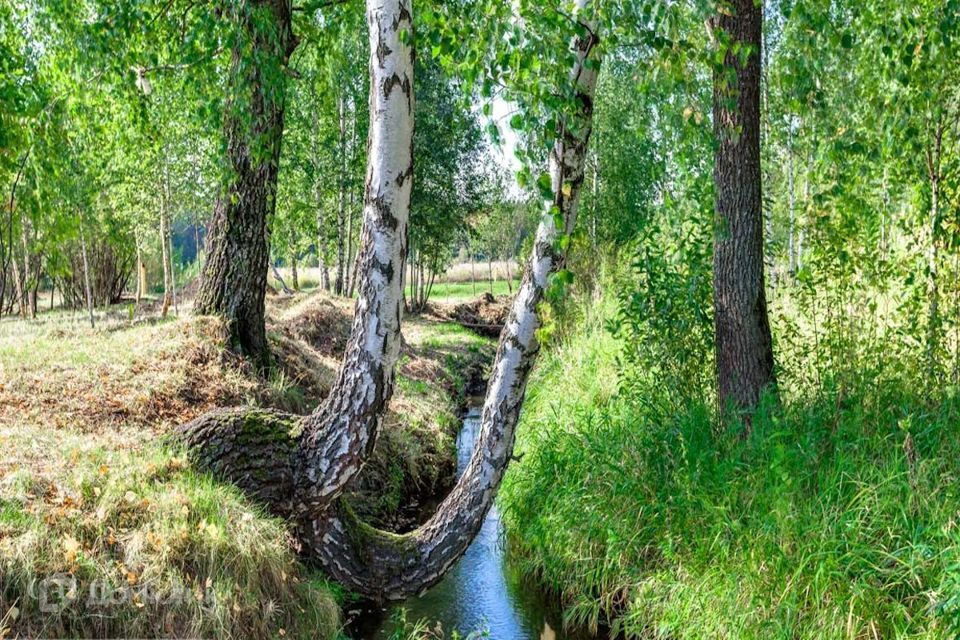 земля городской округ Одинцовский д Раздоры коттеджный посёлок Раздоры-2 фото 5