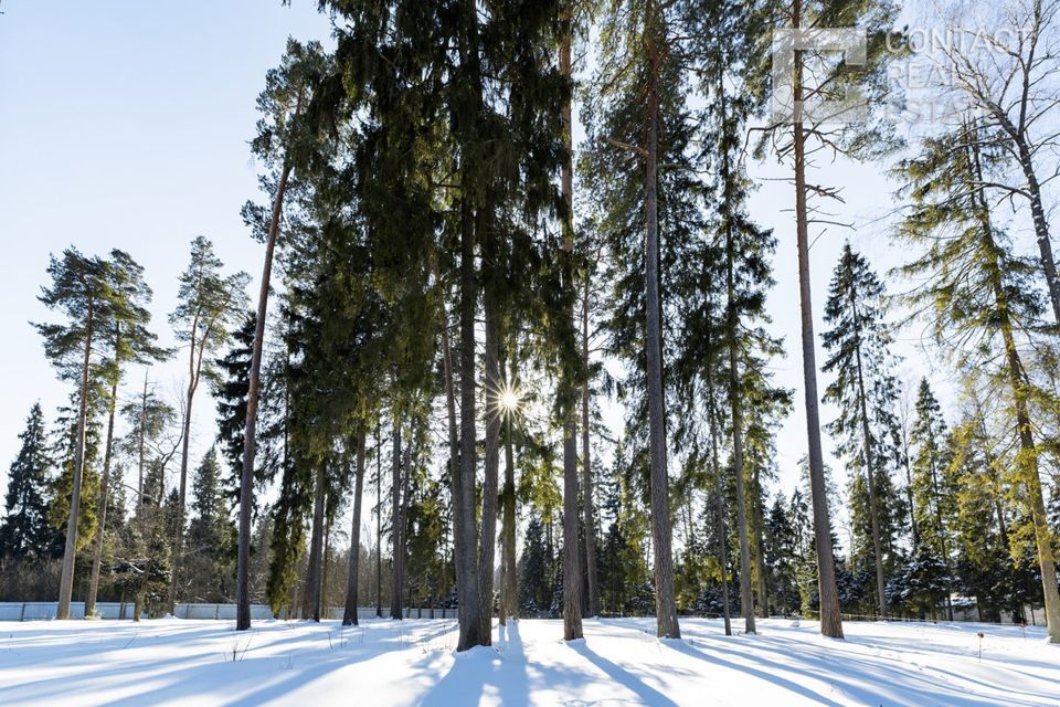 земля городской округ Одинцовский коттеджный посёлок Геодар фото 6