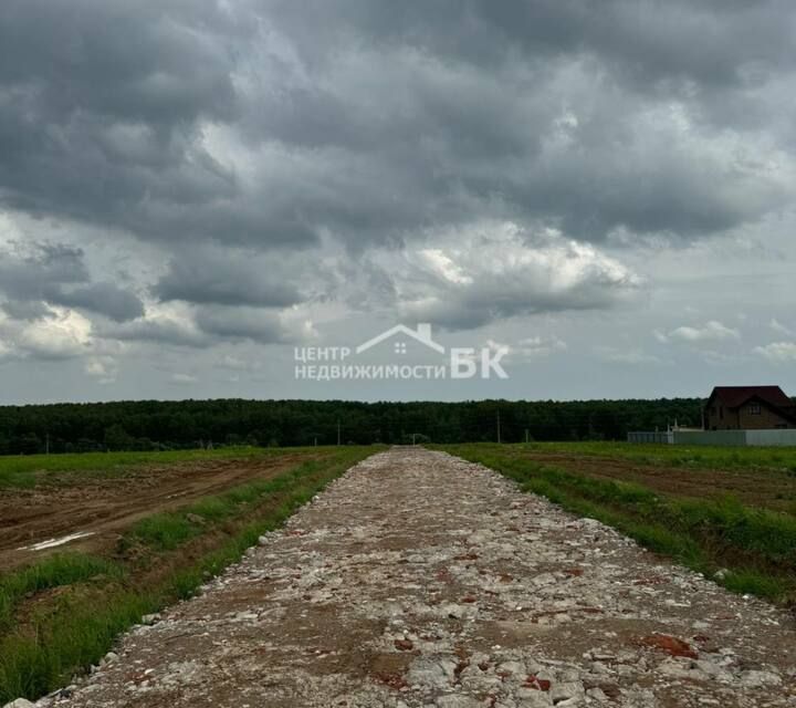 земля г Домодедово д Минаево коттеджный посёлок Минаево парк, городской округ Домодедово фото 7