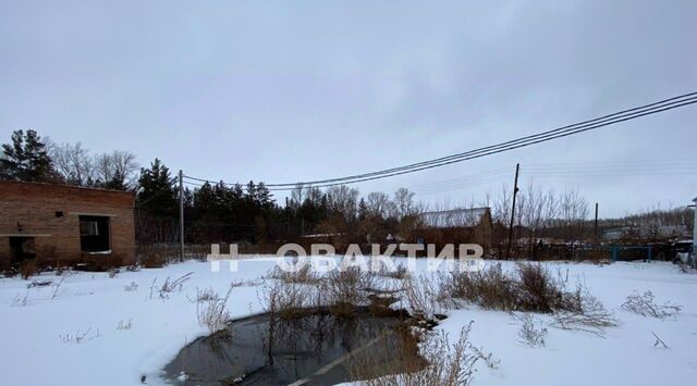 офис ул Трактовая 4 городское поселение Колывань фото