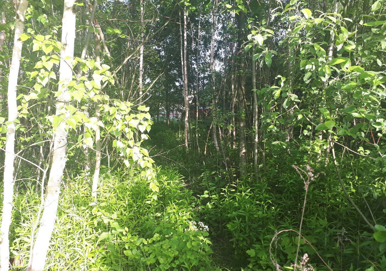 земля городской округ Орехово-Зуевский г Ликино-Дулёво снт Машиностроитель 372 фото 3