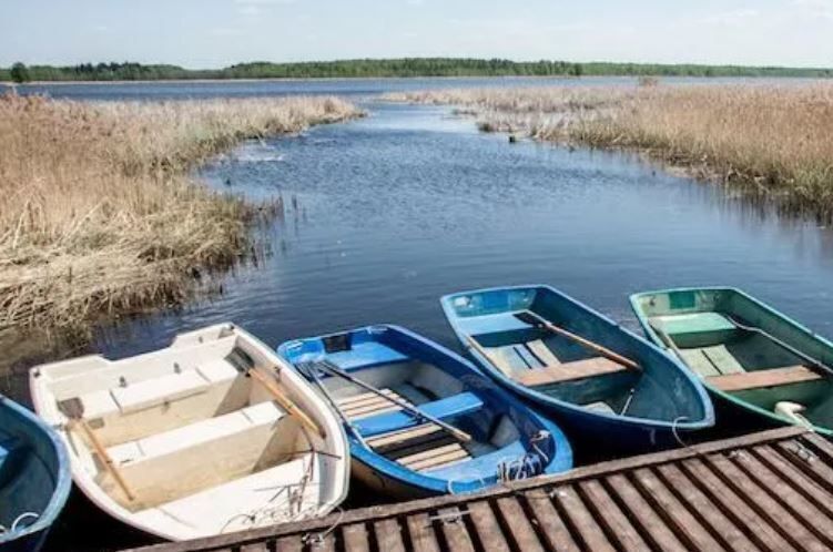 дом Переславль-Залесский городской округ, д. Ширяйка фото 7