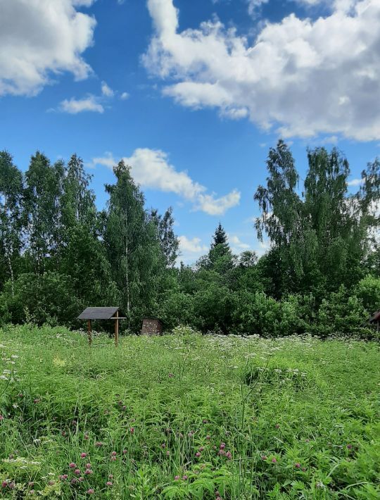 земля р-н Переславский д Подберезье ул Центральная Переславль-Залесский городской округ фото 8