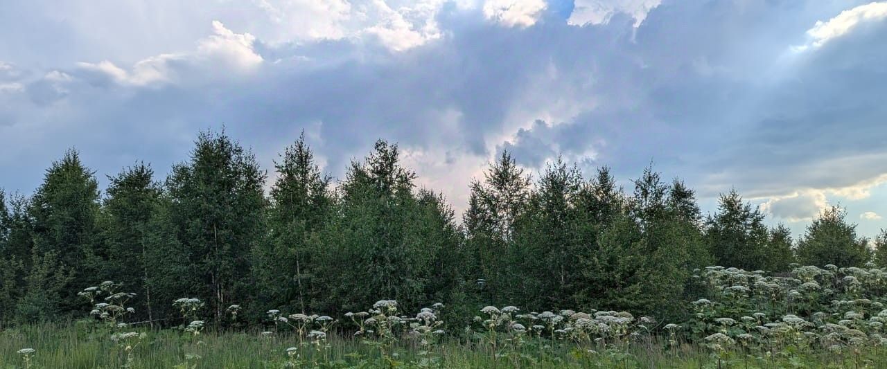 земля городской округ Ленинский д Жабкино Булатниково мкр, Битца фото 5