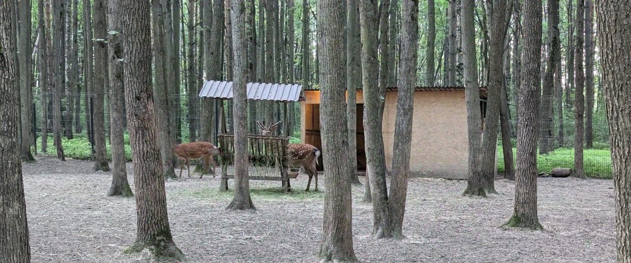 земля городской округ Ленинский д Жабкино Булатниково мкр, Битца, 10 фото 13