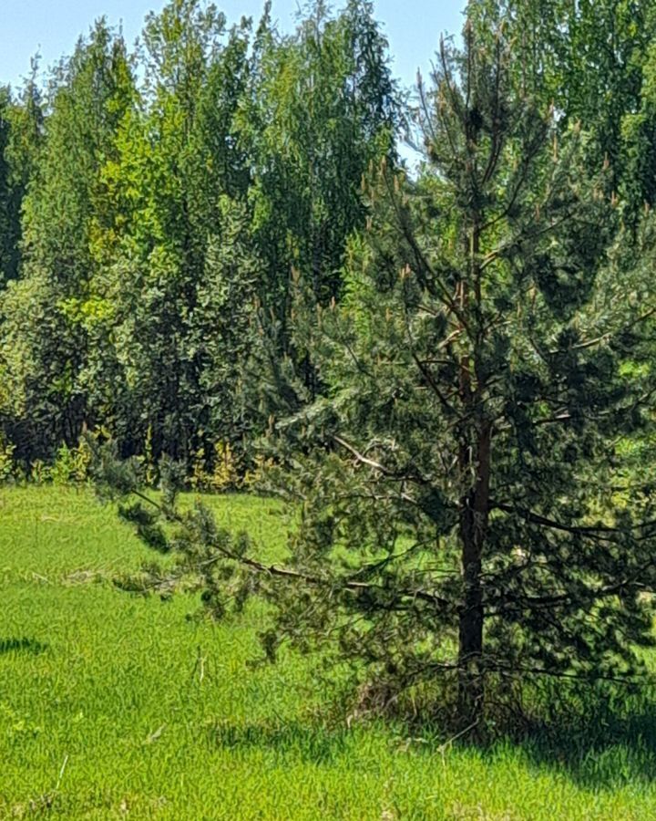 земля р-н Выборгский п Барышево Гончаровское сельское поселение, Красносельское фото 19