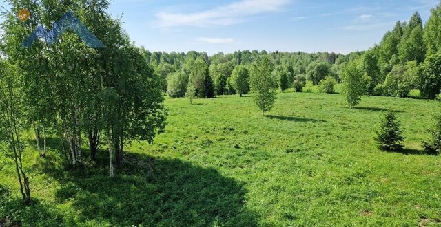 земля Липин Бор фото