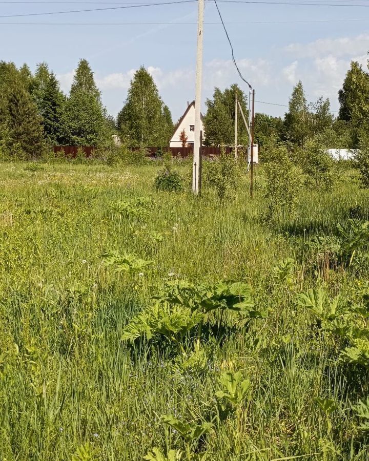 земля городской округ Рузский п Дорохово 46К-1070 фото 3