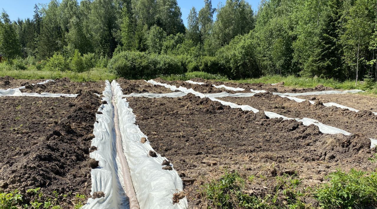 земля р-н Гатчинский Сиверское городское поселение, Лесовод садовое товарищество, 3 фото 3