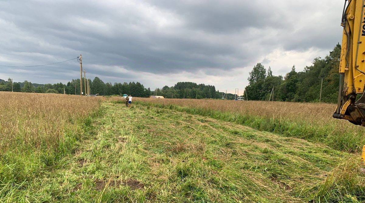 земля р-н Выборгский д Лосево Светогорское городское поселение фото 2