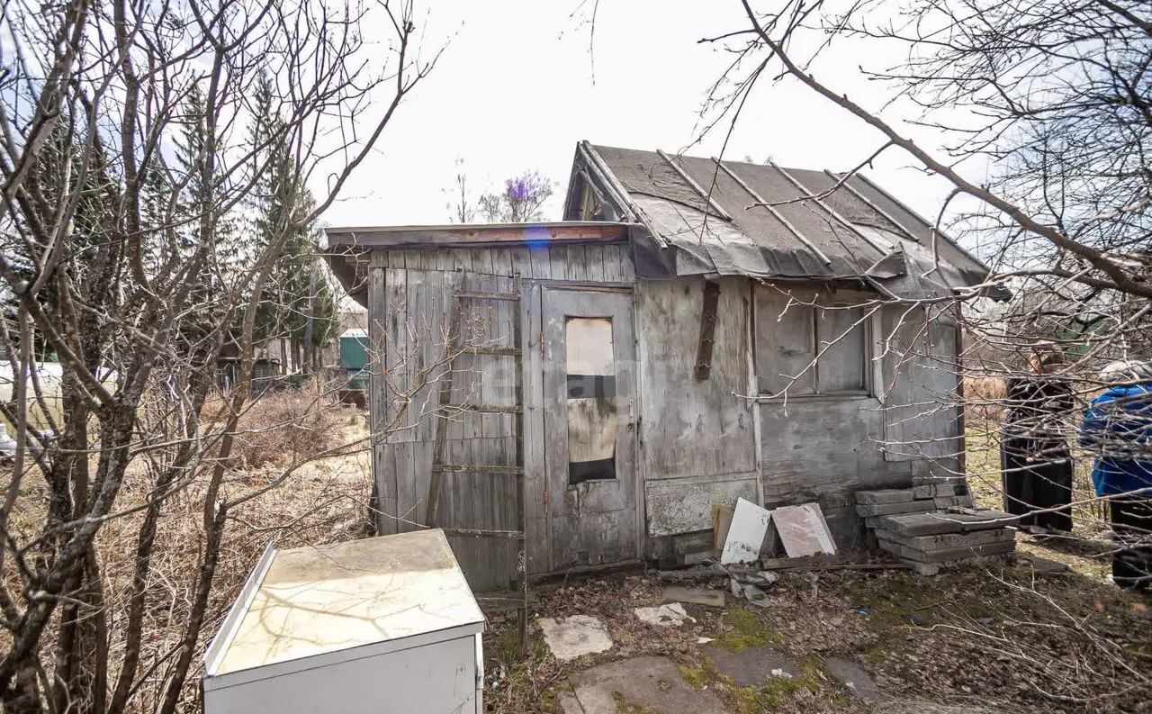 дом р-н Новосибирский снт Восток Барышевский сельсовет, 237В, Новосибирск фото 5